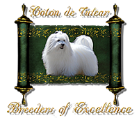 Coton de Tulear Breeders of Excellence